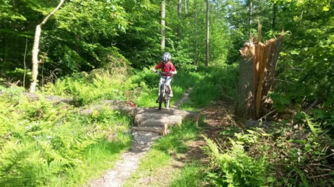 MTB-Spor i Stensbæk Plantage, Gram