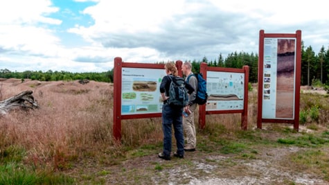 Gelsådalen & Stensbæk Plantage - Gram