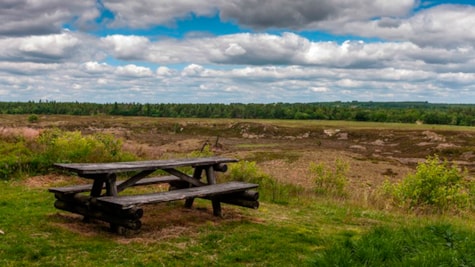 Gelsådalen & Stensbæk Plantage - Gram