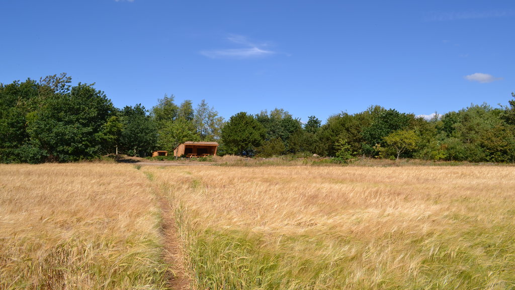 Gelstoft kano og shelterplads