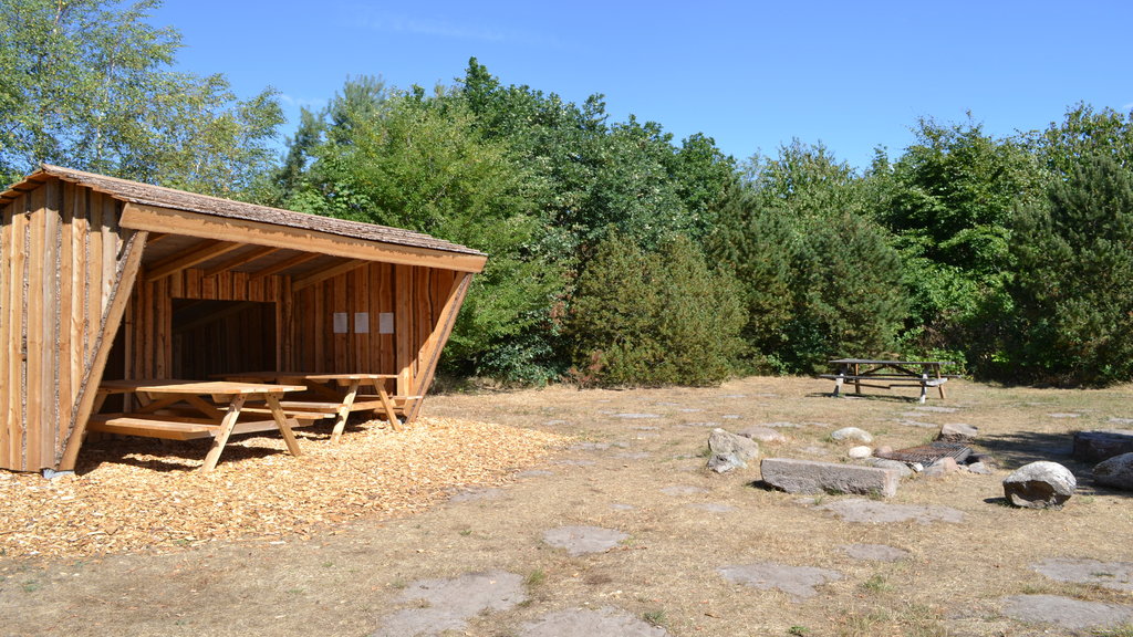 Gelstoft kano og shelterplads