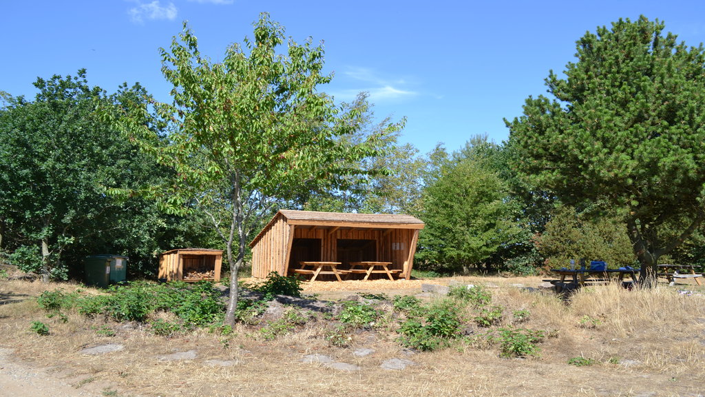 Gelstoft kano og shelterplads