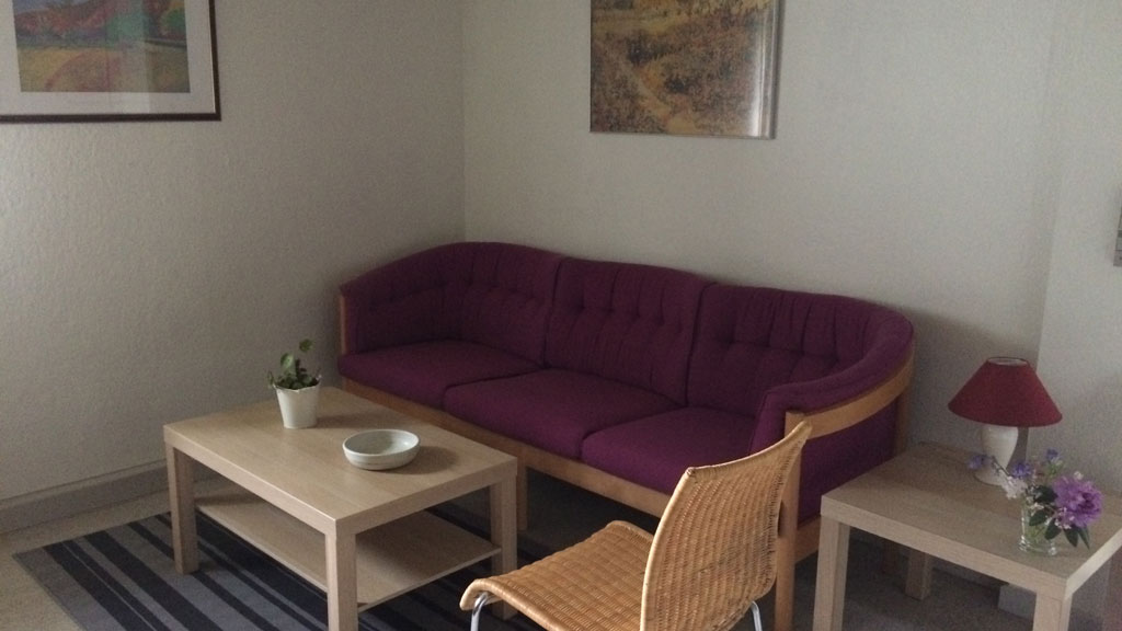 Dalsgaard Bed & Breakfast - holiday apartment close to E45 and Hærvejen