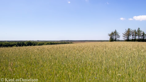 Aftægten, Enderupskov - Gram