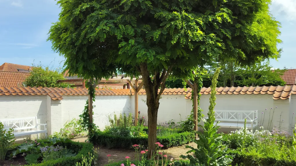 garden, Ehlers Samlingen