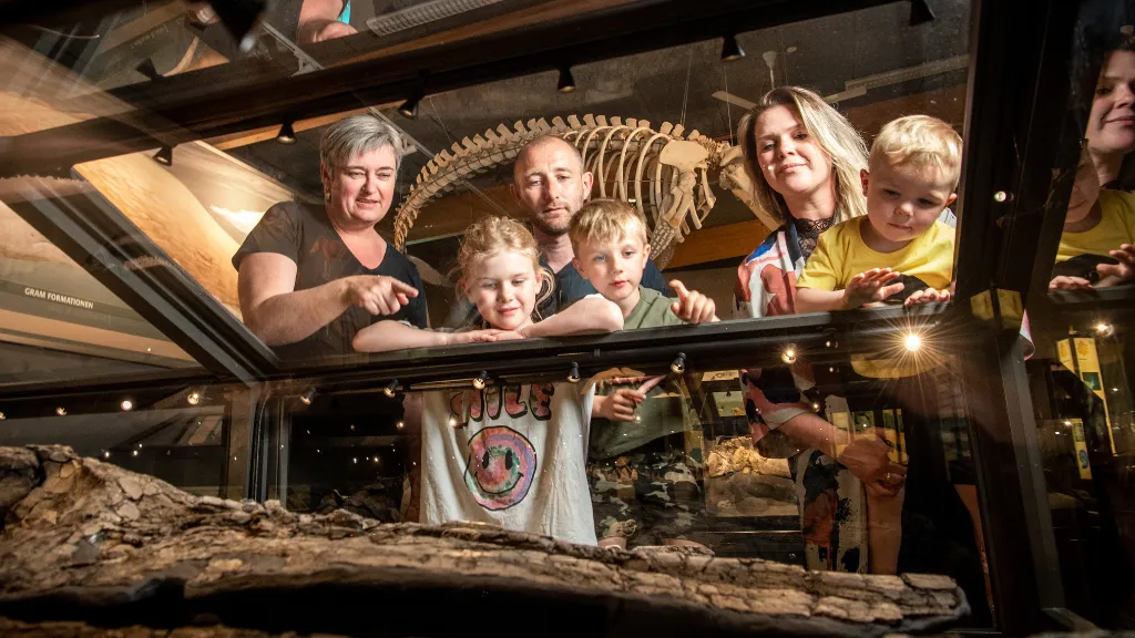 A group of people is lokking at the fossils, Gram Clay Pit