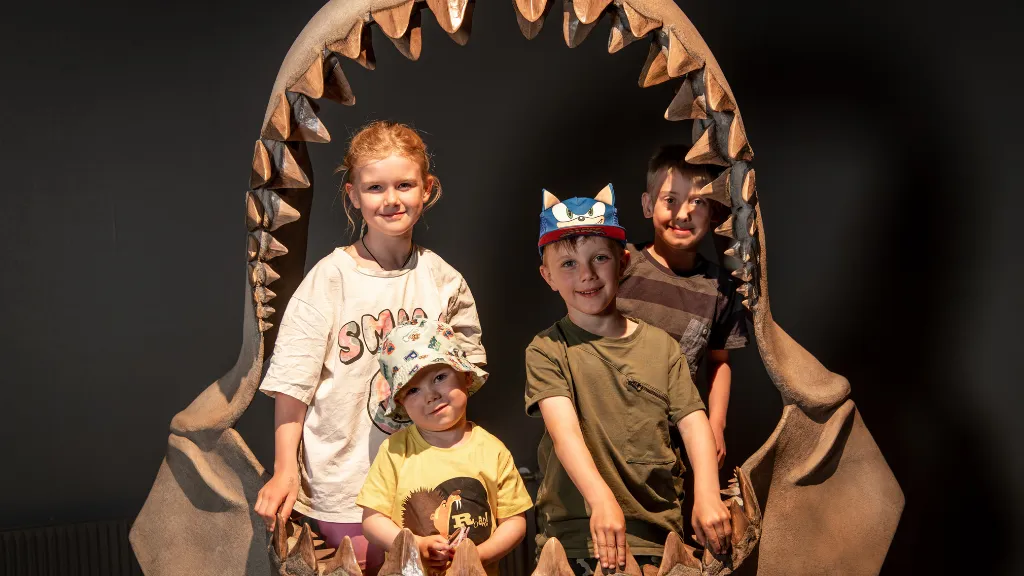 Megalodon’s jaw, Gram Clay Pit