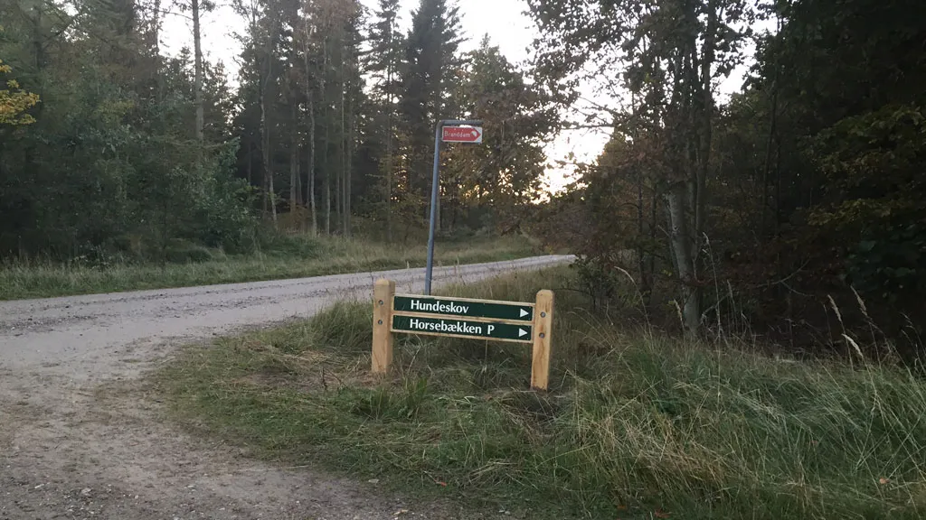 Hundeskov, Tornby Klitplantage