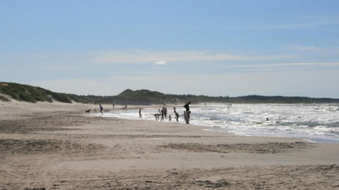 Tversted Strand