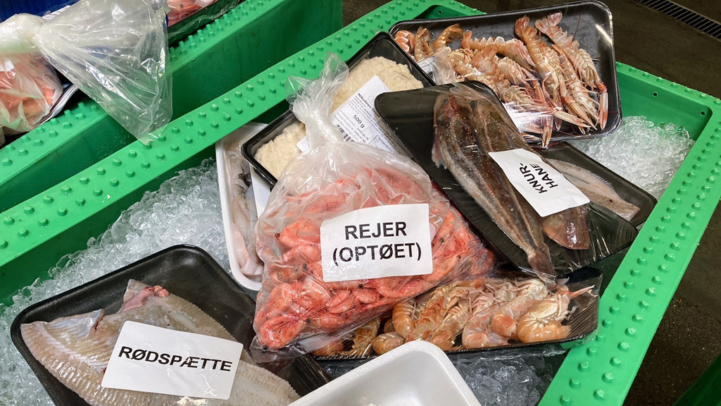 Fischauktion für alle