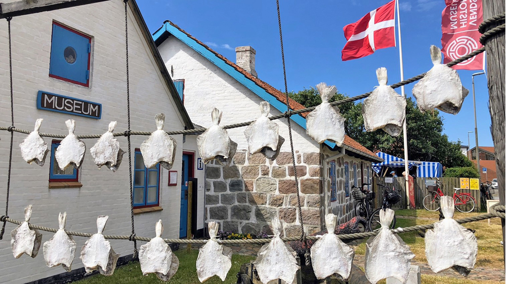 Sommeraktiviteter i Museumshaven i Hirtshals