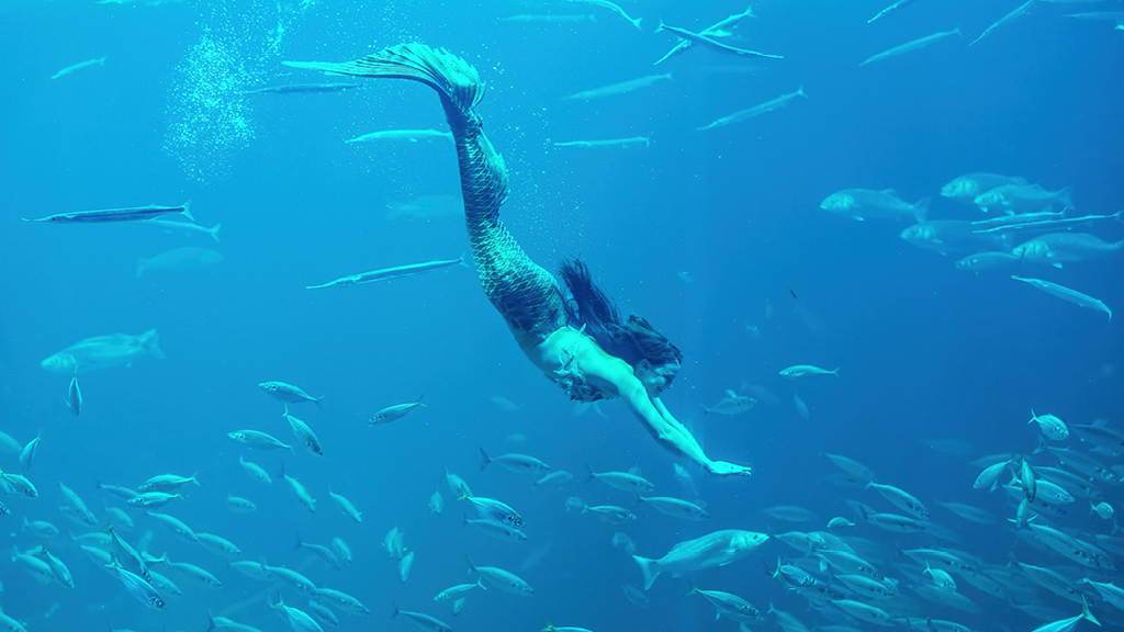 Mermaid