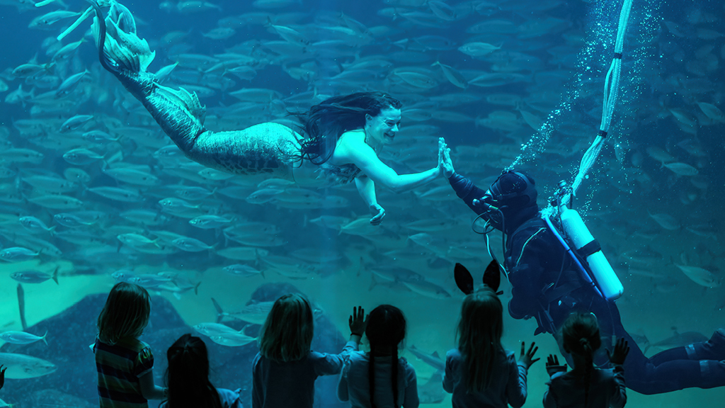 Mermaid