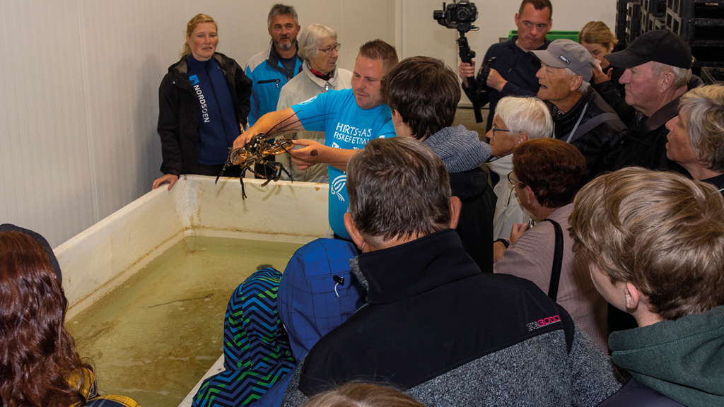 Fiskeauktion