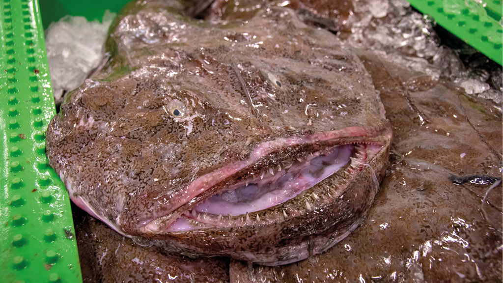 Fiskeauktion