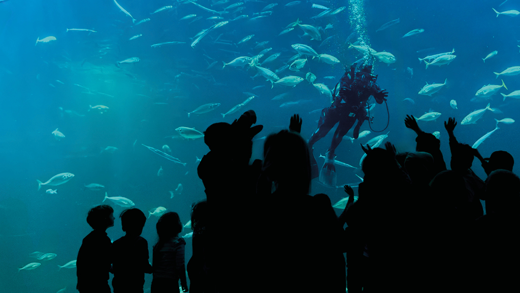 Oceanariet