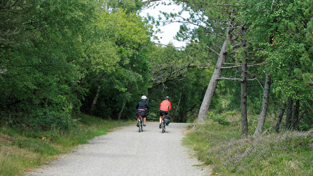 Vestkystruten 1 (national cycle route)
