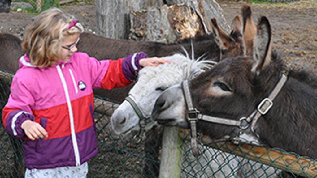 Dyreparken NBV, Hjørring (Mini Zoo)