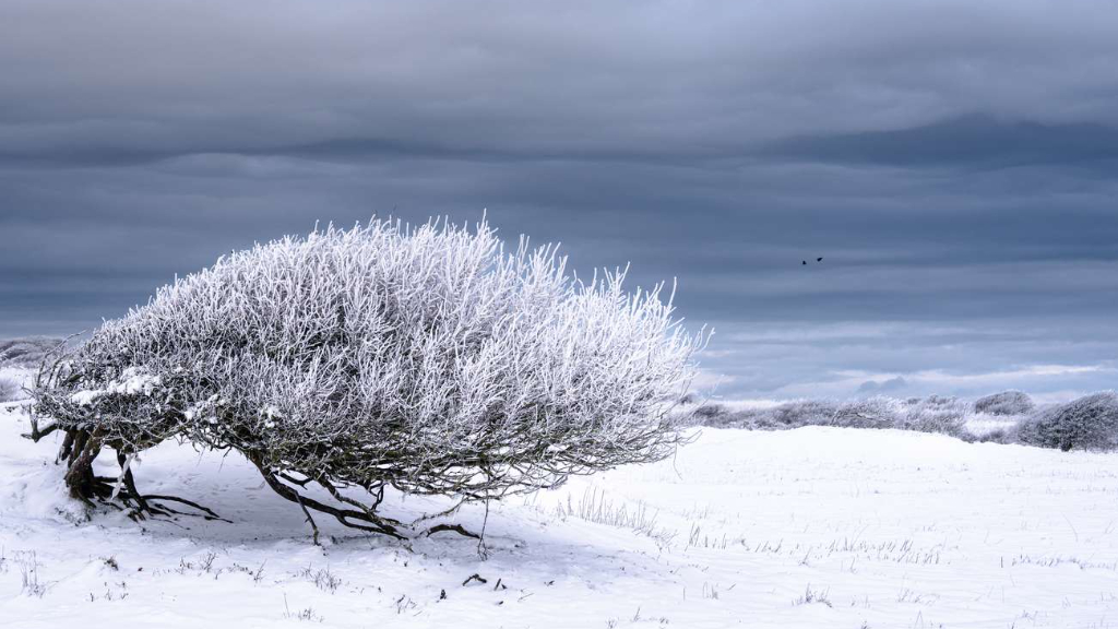 vinter ved nordvestkysten