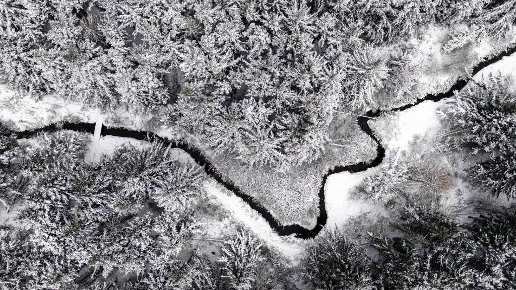 vinter ved nordvestkysten