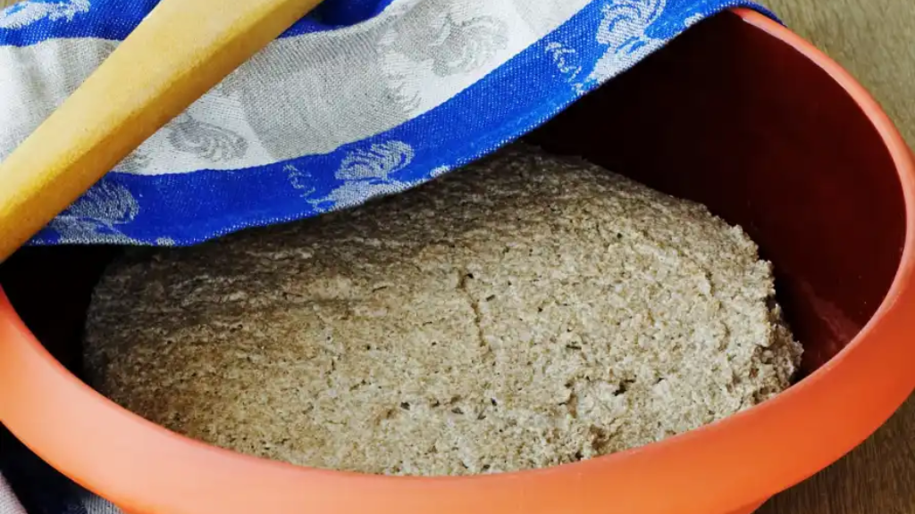 bagekursus i surdejsrugbroed