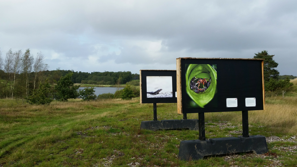 Tvis Mølle Nature Lab - Picnic Area