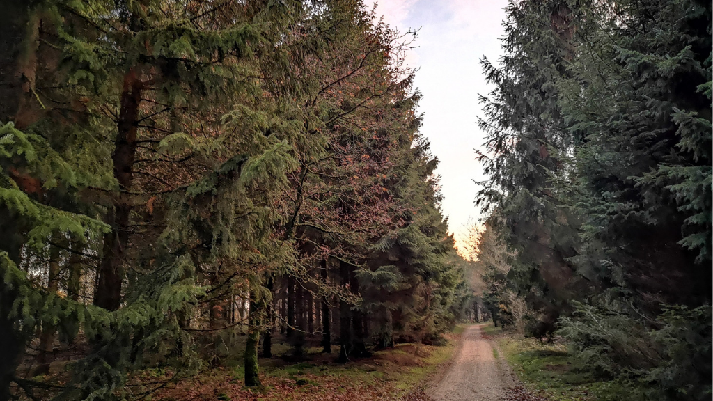 Hjertestien in Holstebro  