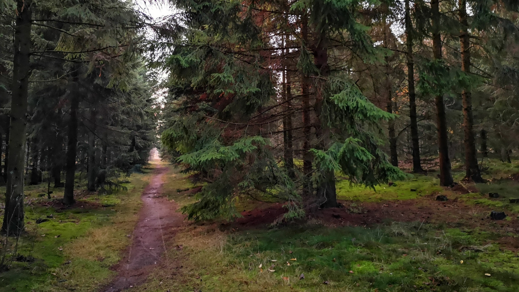 Hjertestien in Holstebro  