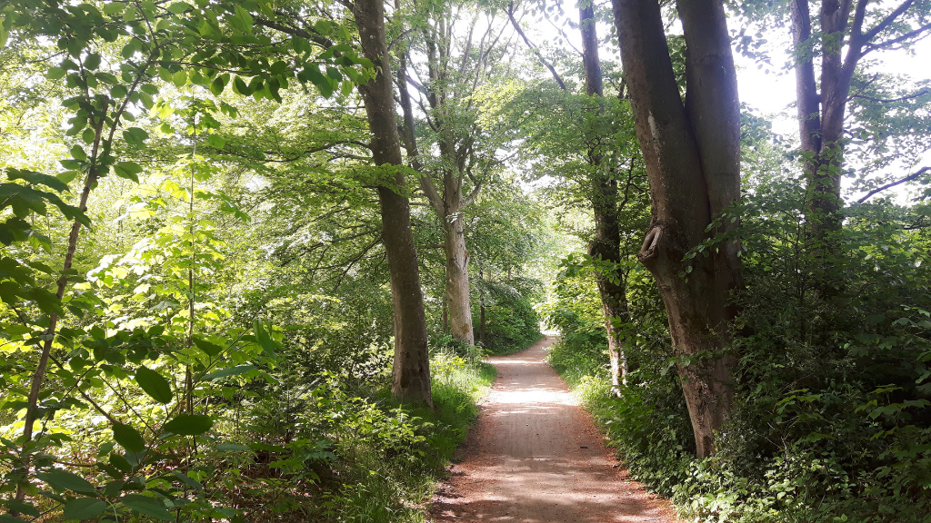 Hjertestien in Ulfborg  