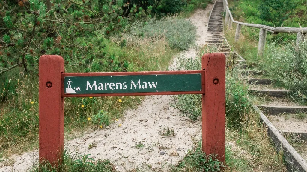 Marens Maw - Husby Klitplantage