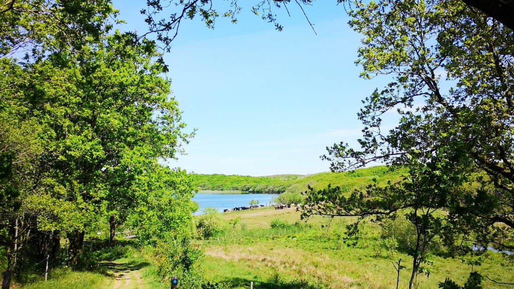 Hike - Ådalstien - Flyndersø