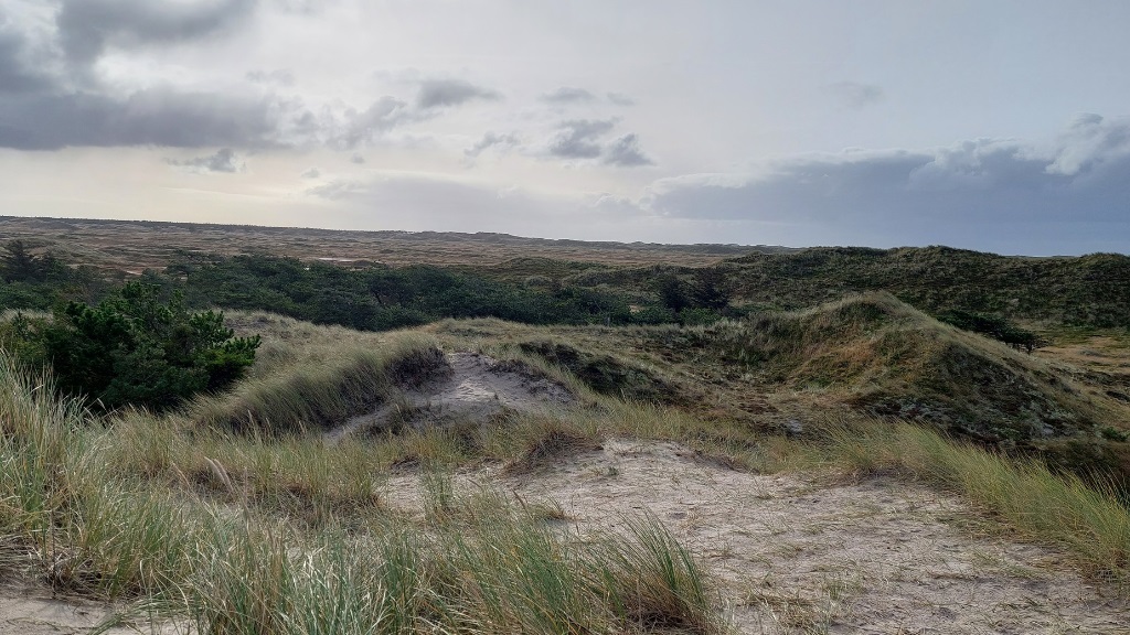 Trail - The Husby Klitplantage Route