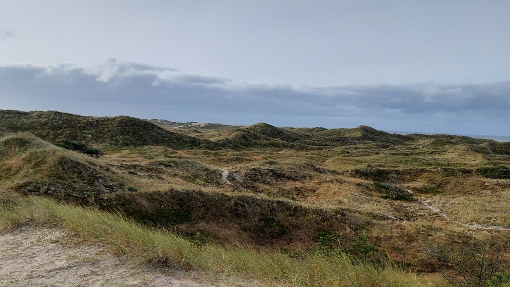 Trail - The Husby Klitplantage Route