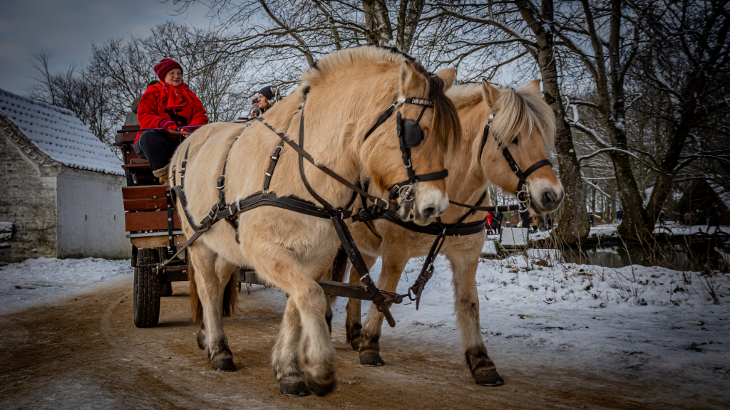 Hjerl Hede at Christmas