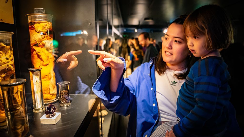 Strandingsmuseum St. George