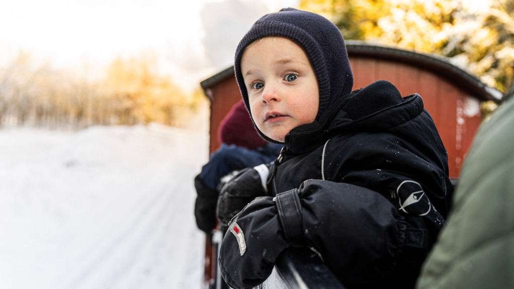 Frilandsmuseet Hjerl Hede
