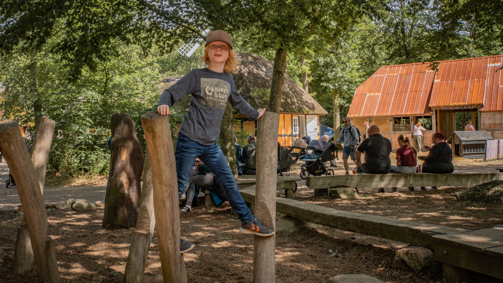 Frilandsmuseet Hjerl Hede