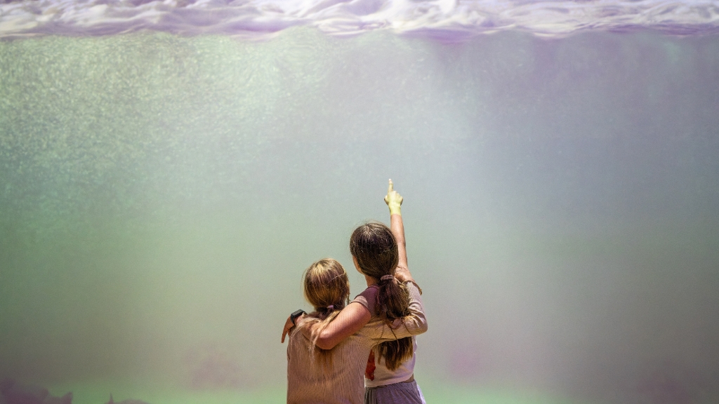 Strandingsmuseum St. George