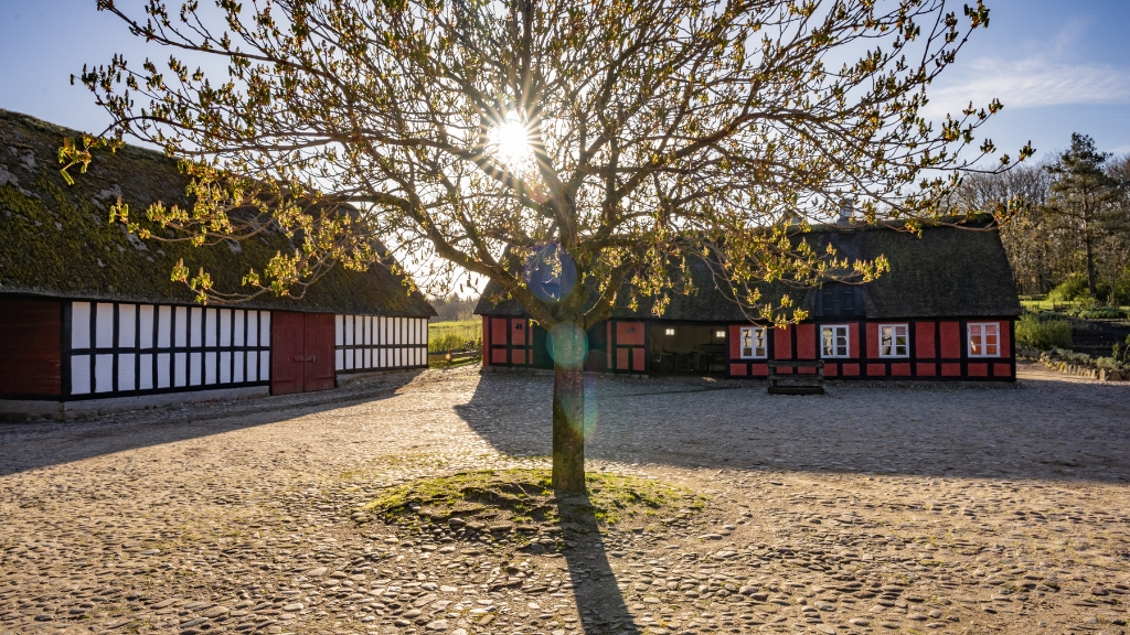 Frilandsmuseet Hjerl Hede