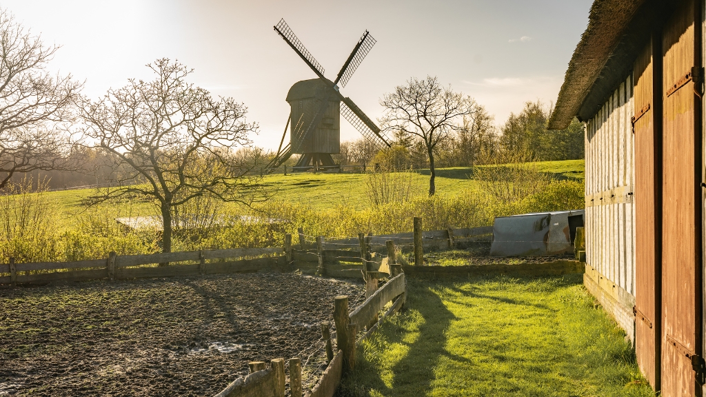Frilandsmuseet Hjerl Hede