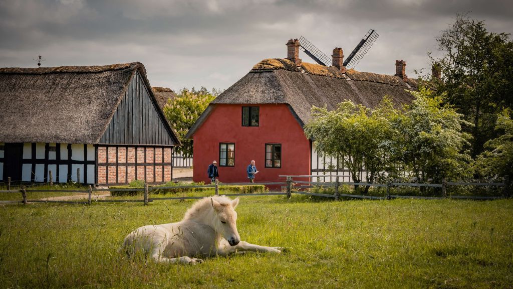 Frilandsmuseet Hjerl Hede