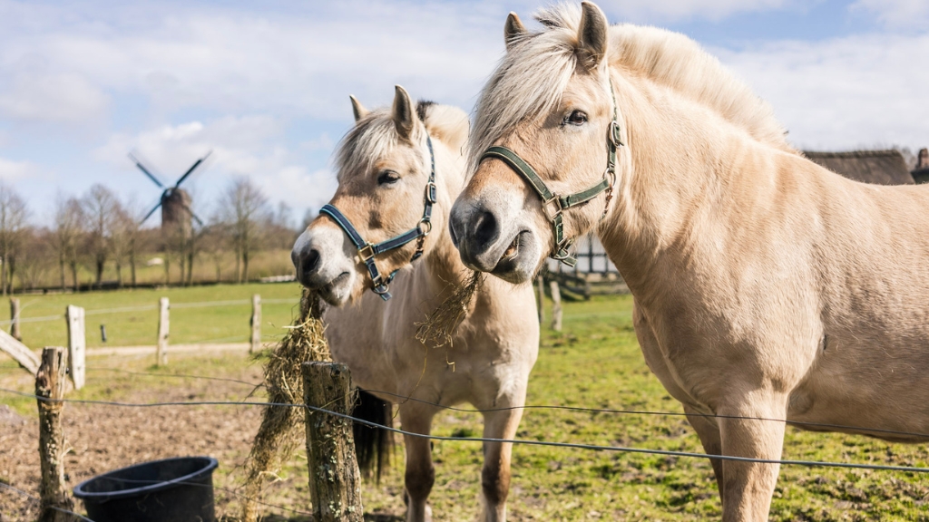 Frilandsmuseet Hjerl Hede
