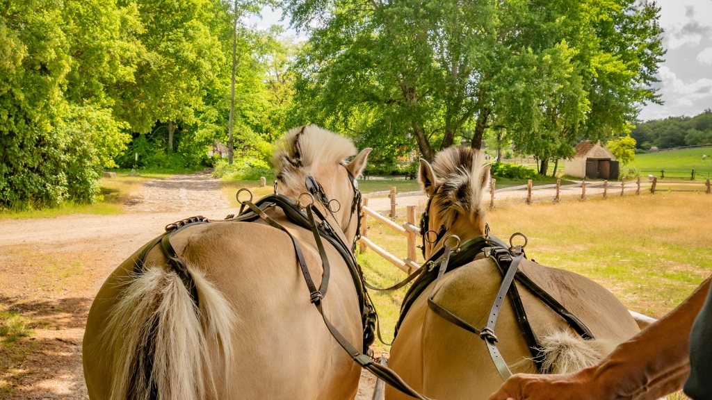 Frilandsmuseet Hjerl Hede