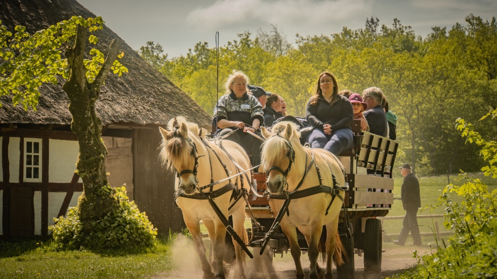 Frilandsmuseet Hjerl Hede