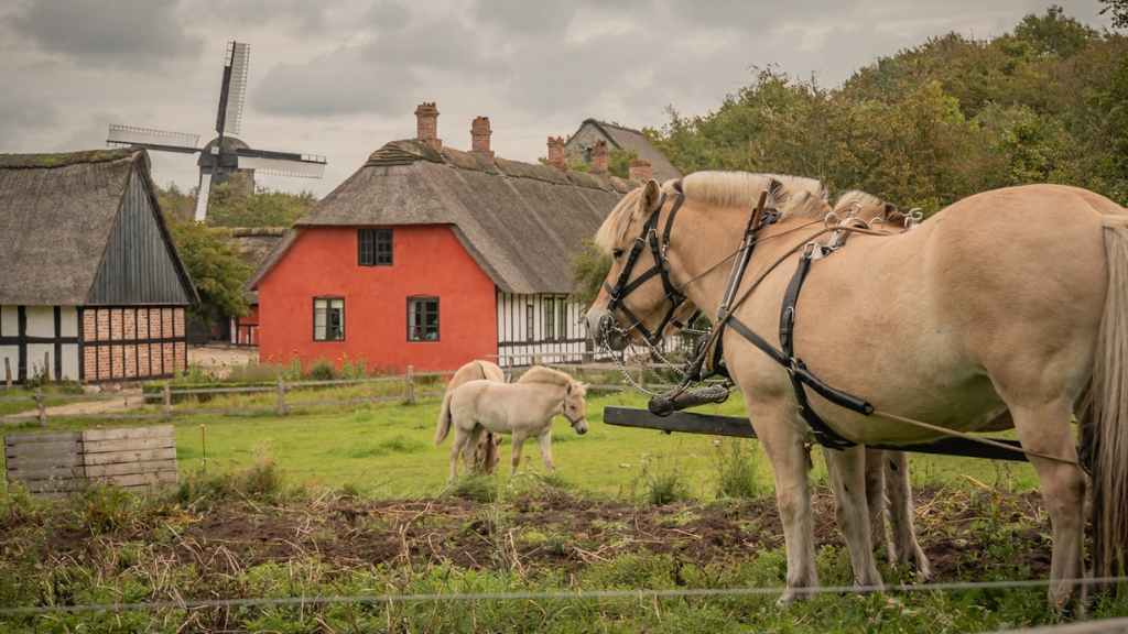 Frilandsmuseet Hjerl Hede