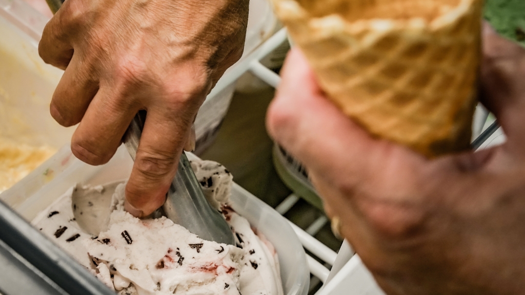 Frilandsmuseet Hjerl Hede