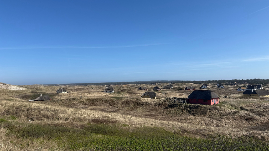 Udsigt over sommerhuse i Vedersø Klit