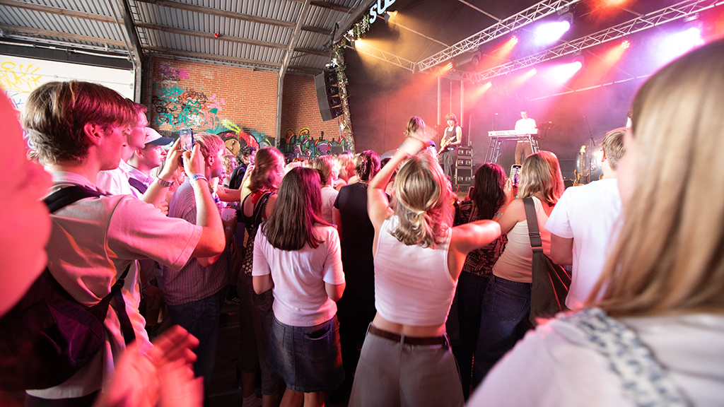 Fest og koncert