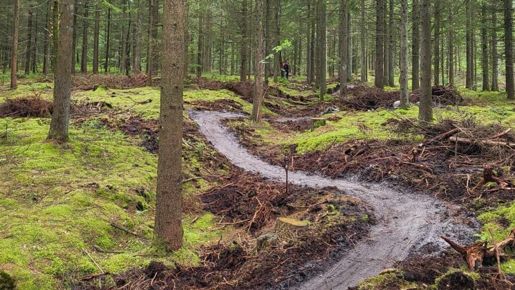 MTB i Vestre Plantage i Holstebro