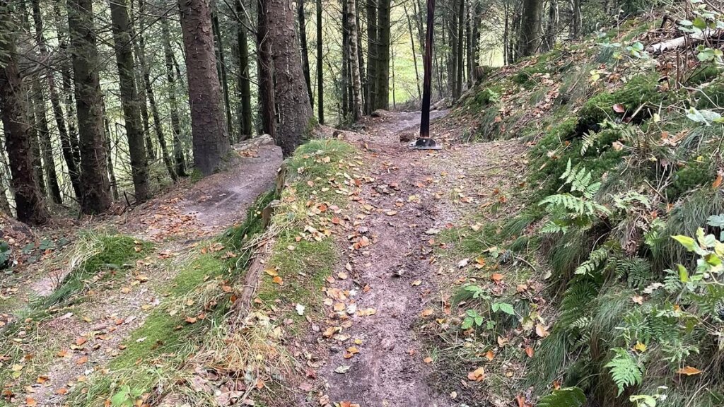 MTB Holstebro Sir Lyngbjerg